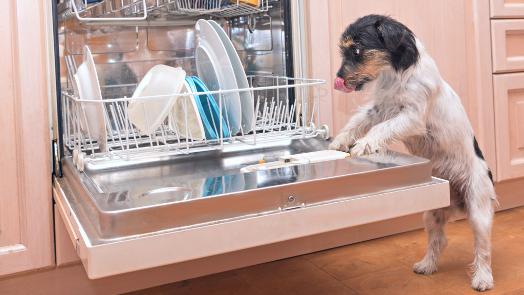 Dishwasher